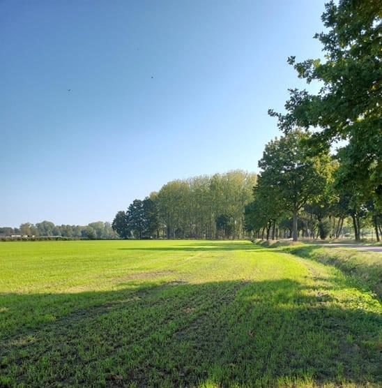 Bekijk foto 3 van Eikelkampen