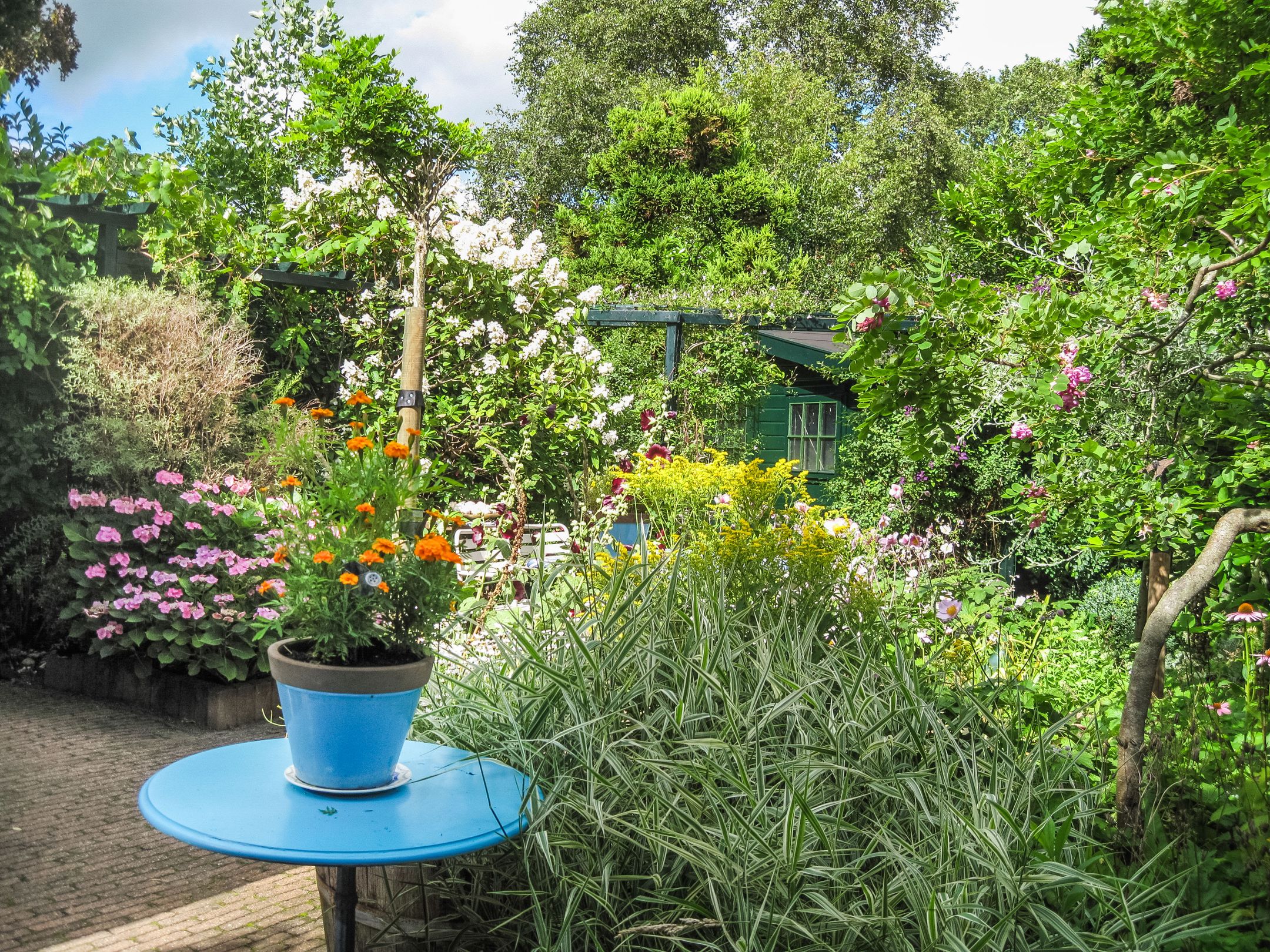 Photo 36 of Colnotweg 8