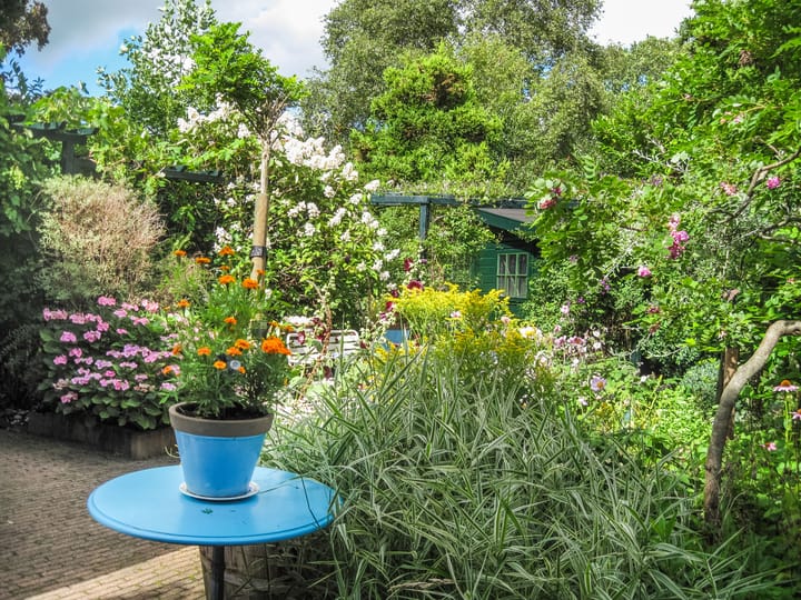 Photo 36 of Colnotweg 8