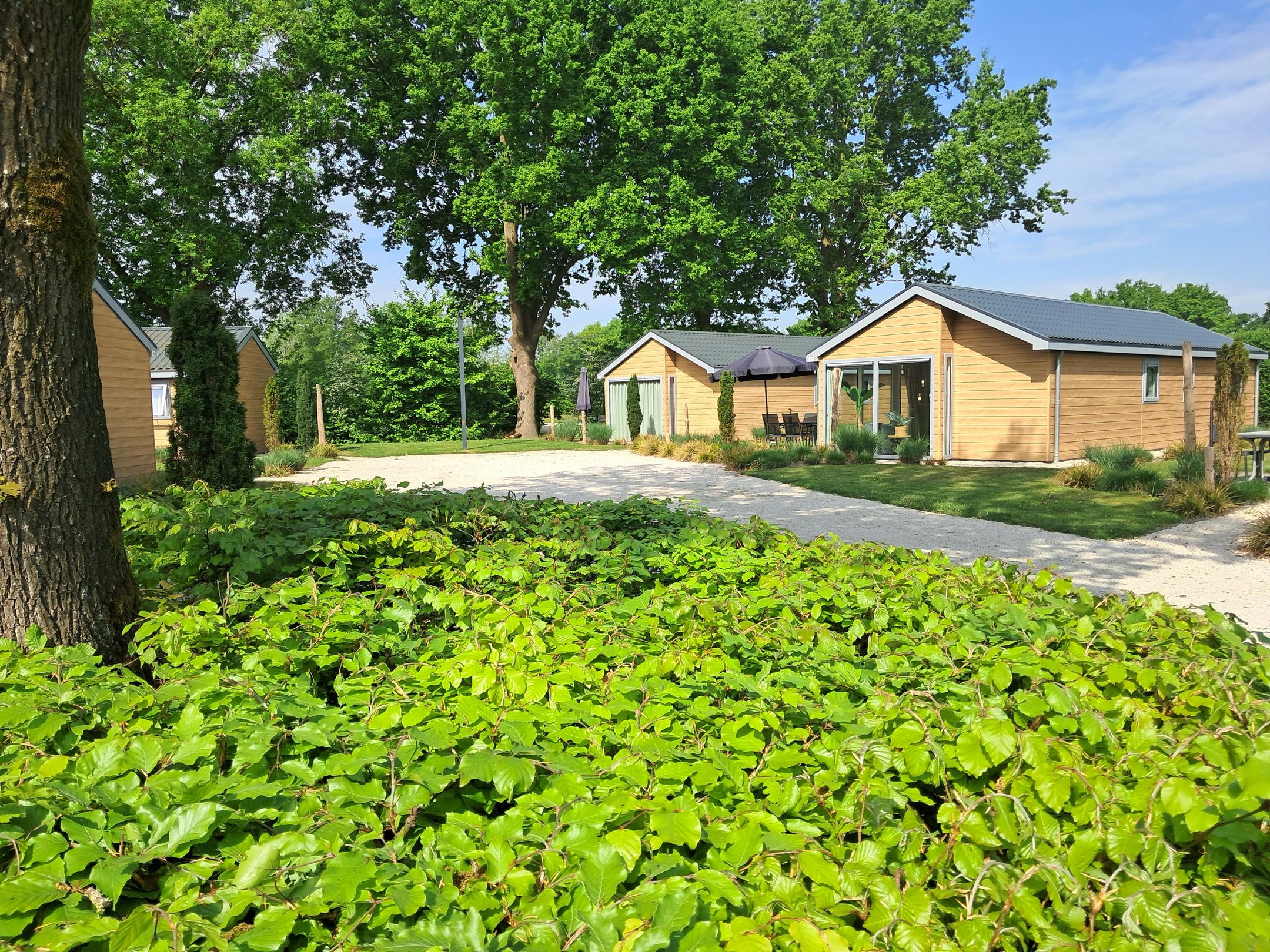 Photo 6 of van Haestrechtstraat 24-102