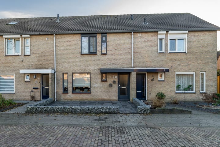 Hondsdraf 26 main image