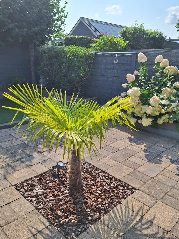 Foto 46 van Hoge Enk 27