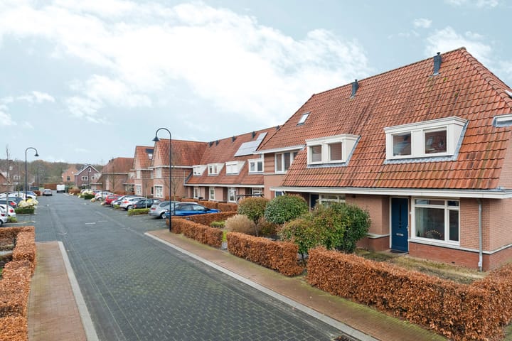 Foto 4 van Papierschepper 3