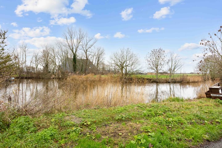 Foto 7 van Grote Reed 6