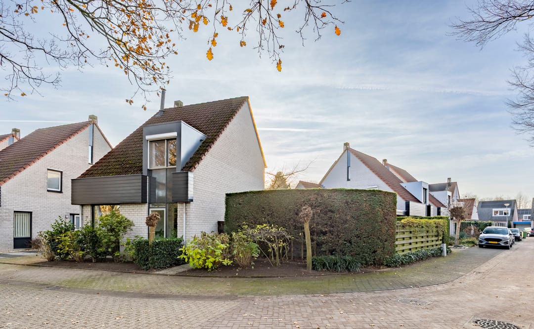 Foto 2 van Honingklaver 22