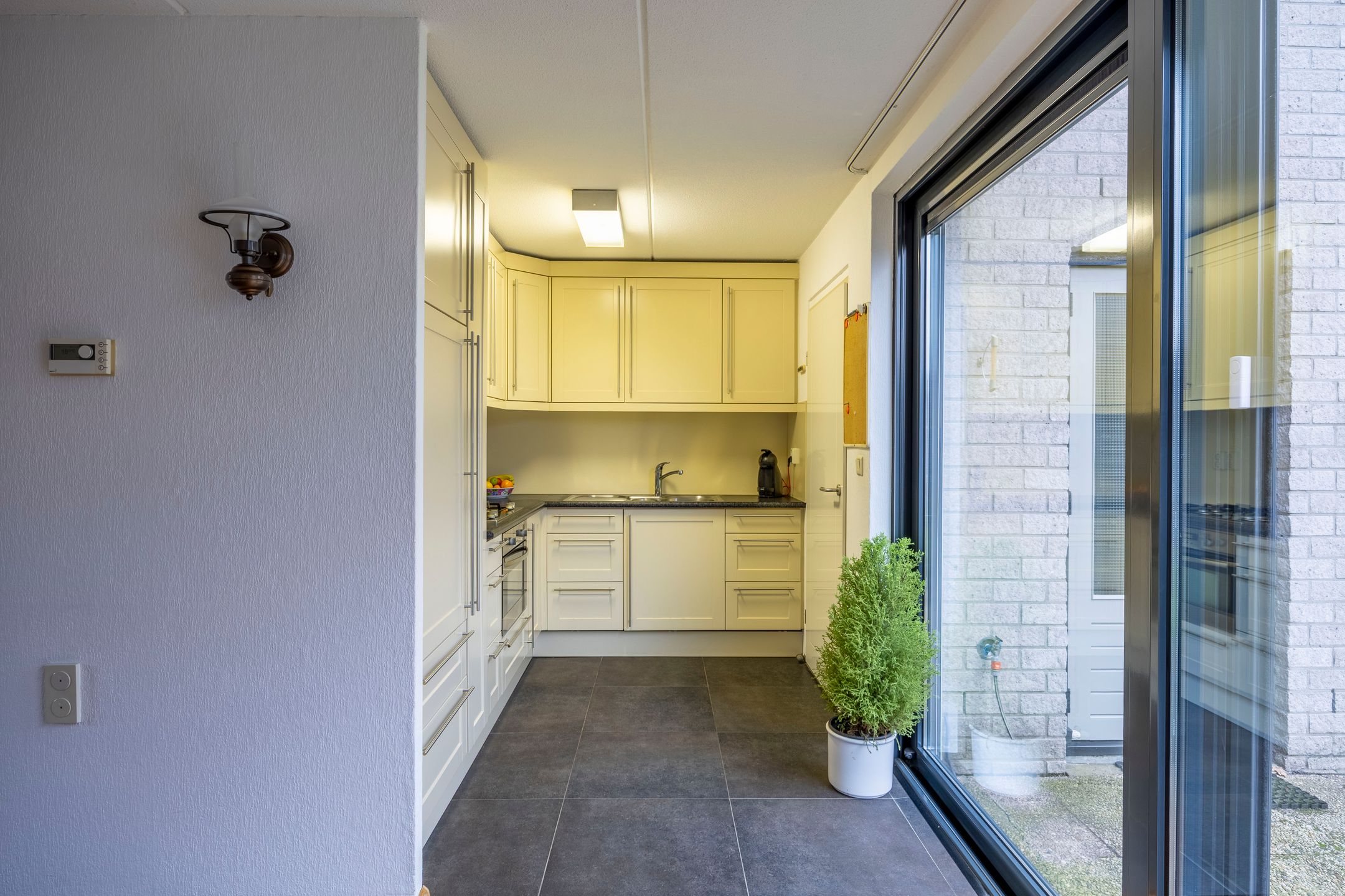 Foto 12 van Honingklaver 22