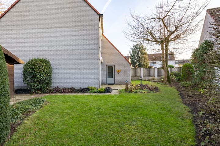 Photo 27 of Honingklaver 22