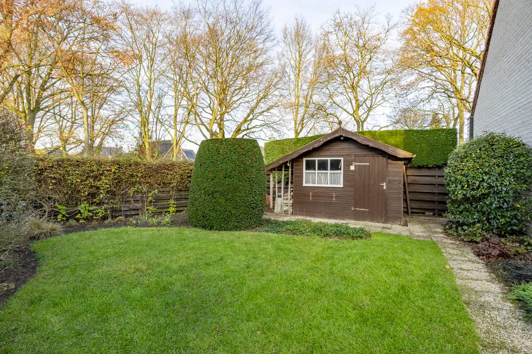 Foto 31 van Honingklaver 22