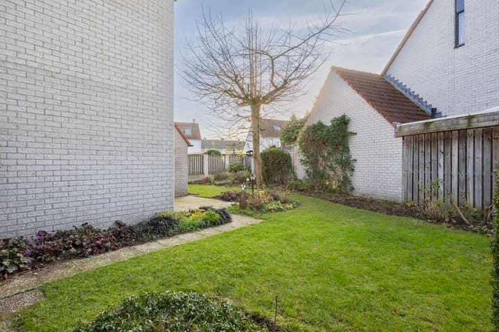 Photo 32 of Honingklaver 22