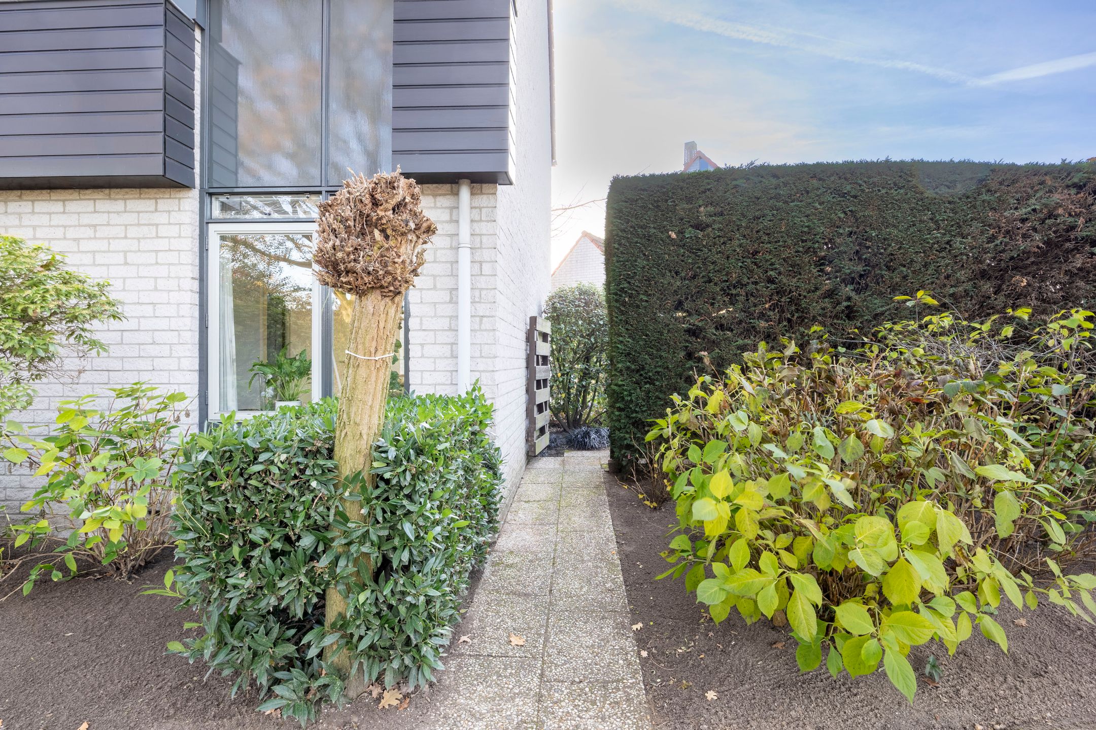 Foto 33 van Honingklaver 22