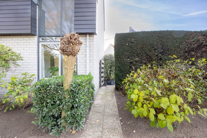 Photo 33 of Honingklaver 22