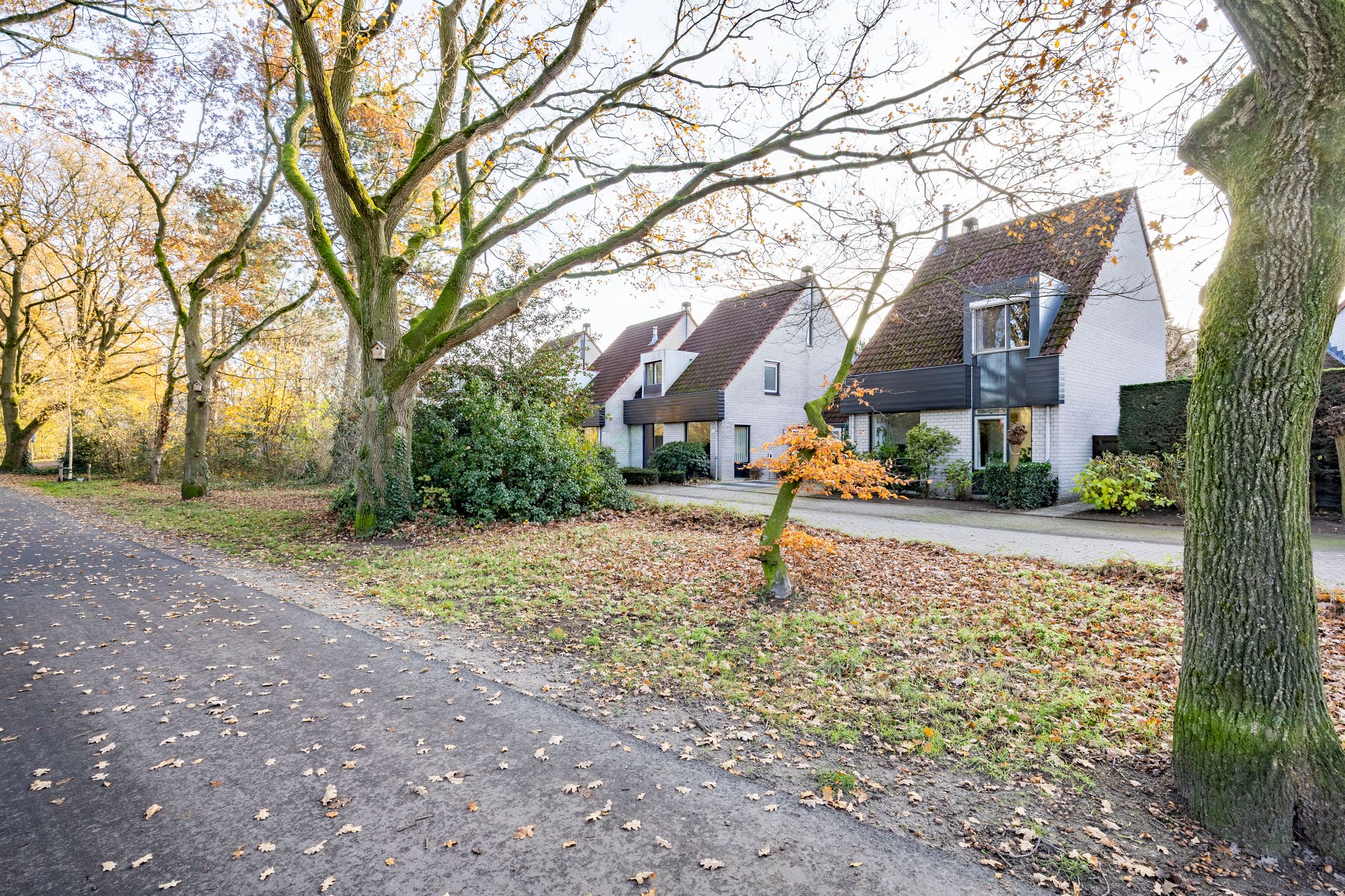 Foto 36 van Honingklaver 22