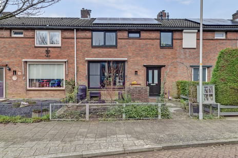 van Kleefplein thumbnail