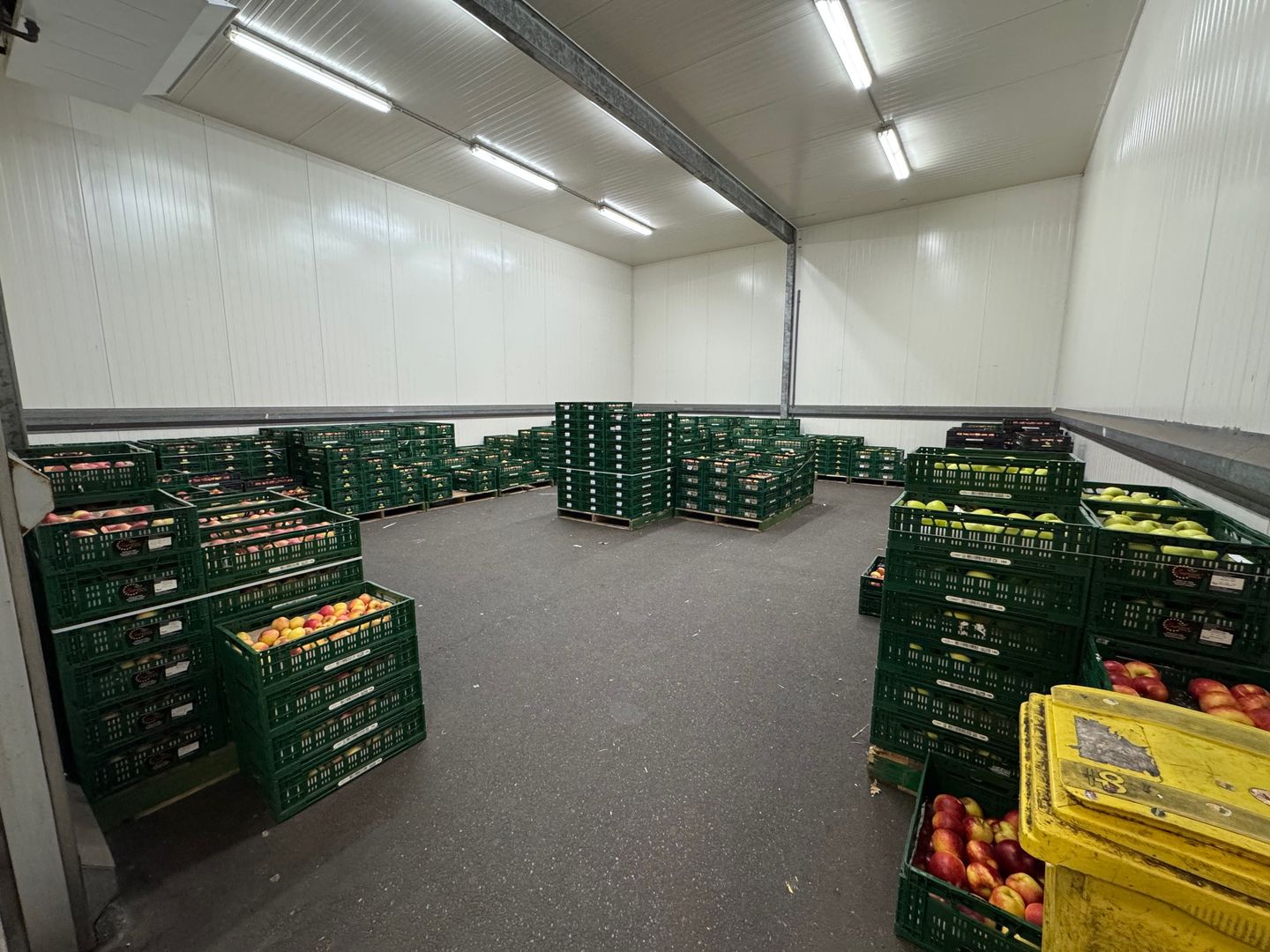 Bekijk foto 5 van IABC 5216