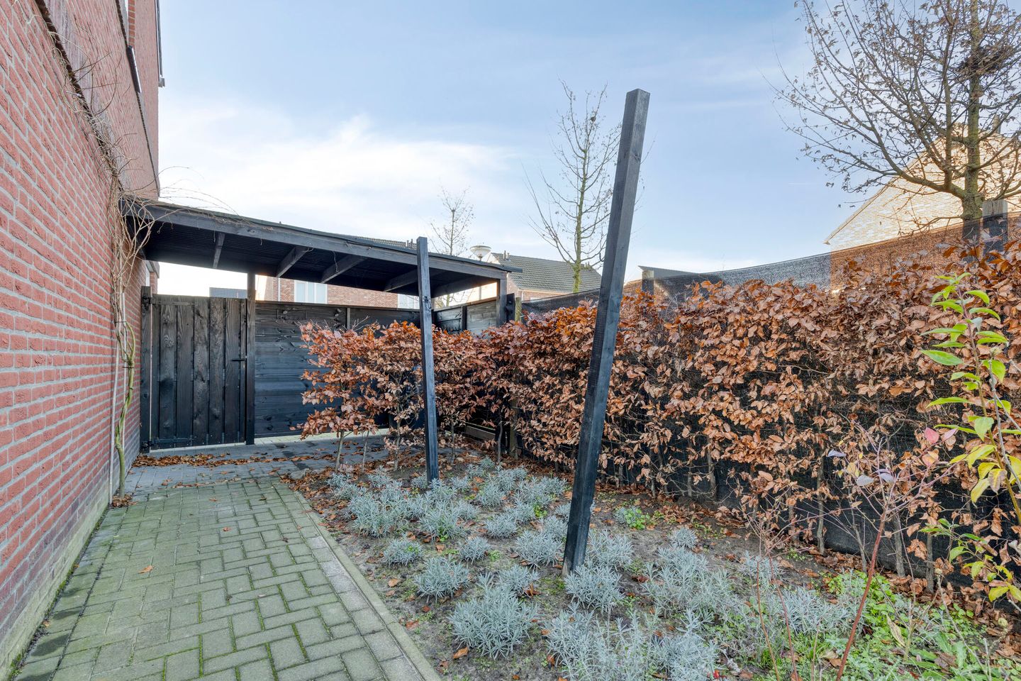 Photo 35 of Molenakker 3