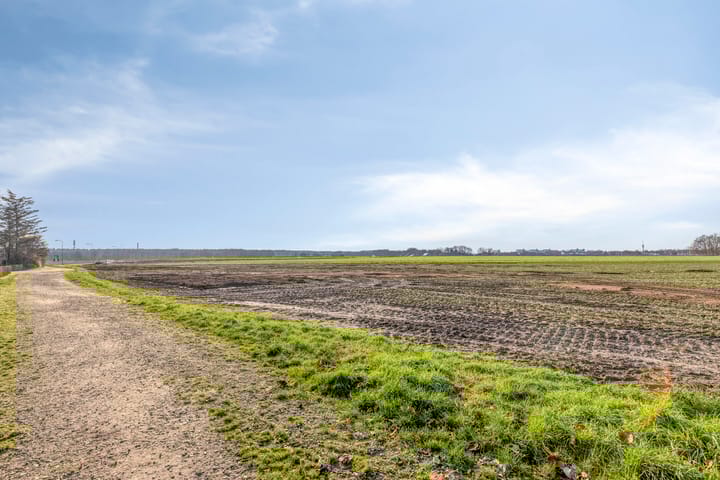 Photo 44 of Molenakker 3