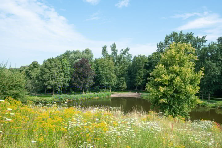 Foto 38 van Tuinderspad 32