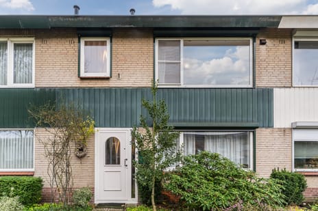 undefined main image