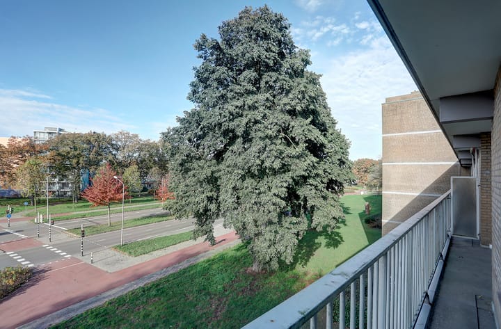 Photo 10 of Malvert 6598-A