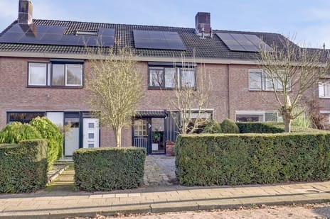 undefined main image