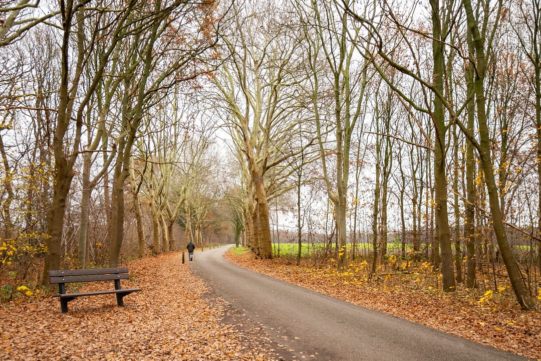 Foto 38 van Kranenbroekerweg 26