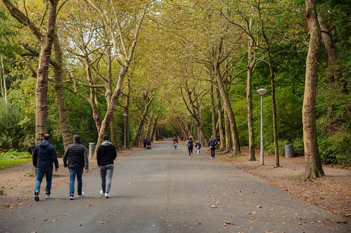 Photo 33 of Reyer Anslostraat 21-H