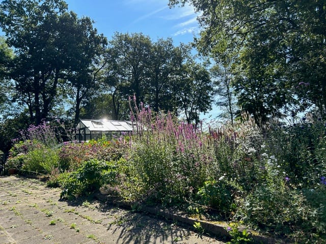 Foto 98 van Midden 126