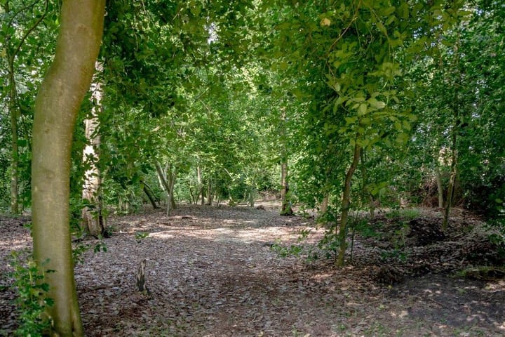 Foto 100 van Midden 126