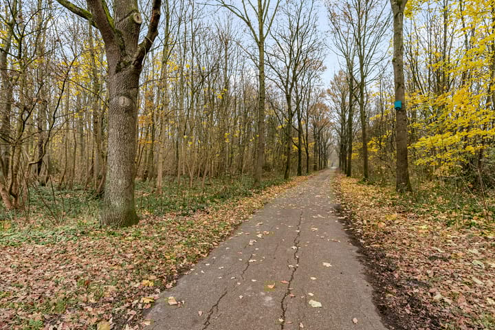 Photo 53 of Poldermolenweg 164