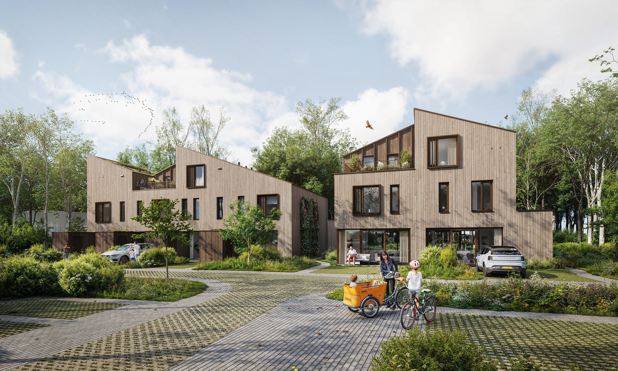 Foto van Duinhout fase 3