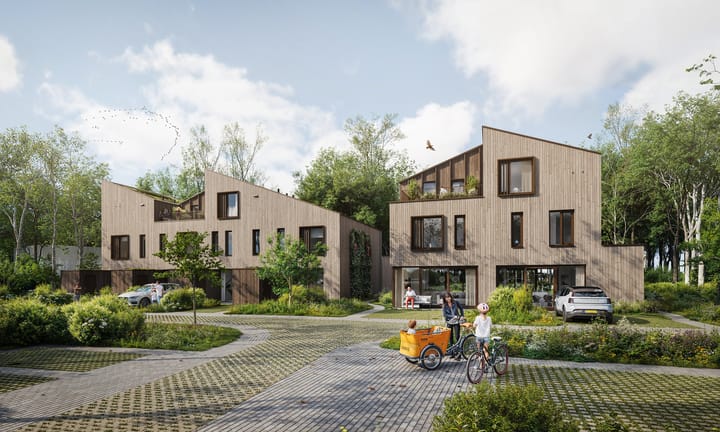 Duinhout fase 3 main image