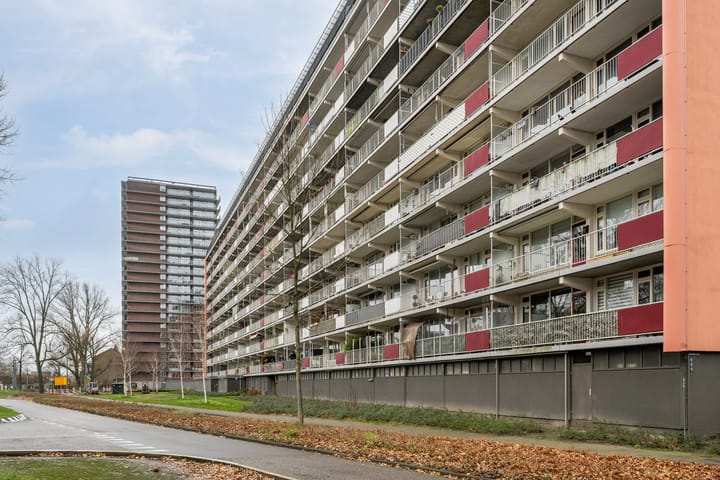 Photo 27 of Bachplein 281