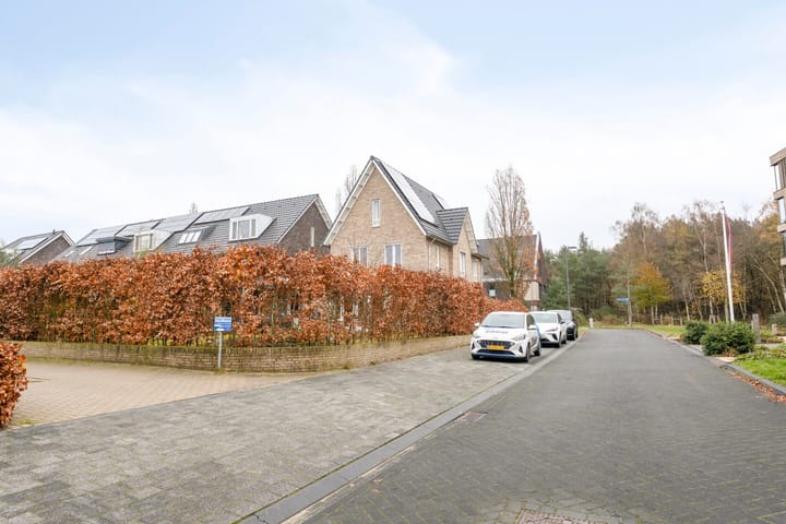 Foto 62 van Pieter van Varklaan 1