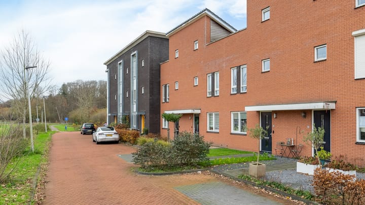 Foto 3 van Palissade 73