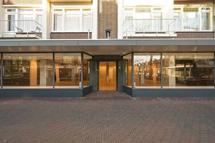 Theresiastraat 130-132, Den Haag