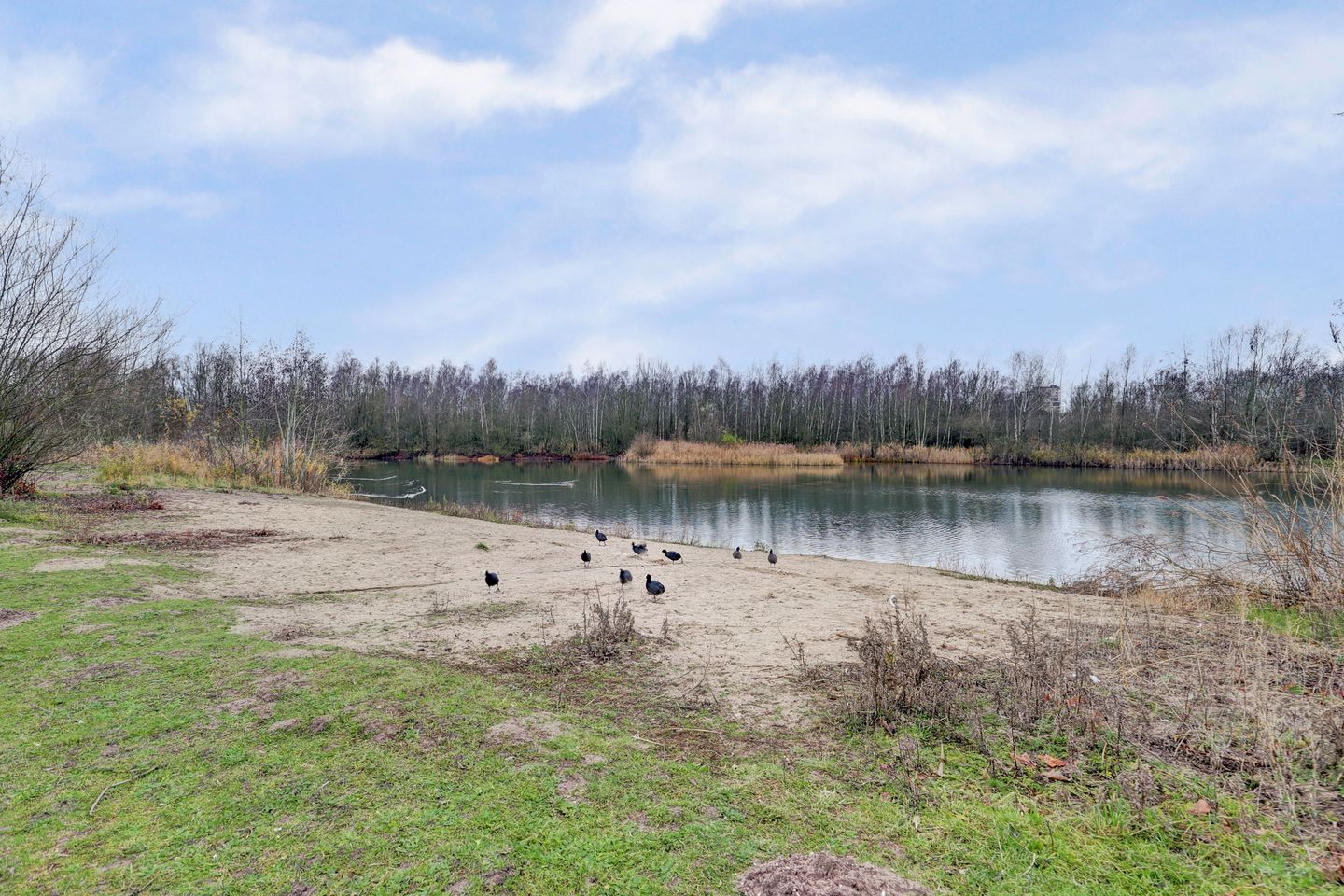 Foto 4 van Waterlelielaan 93