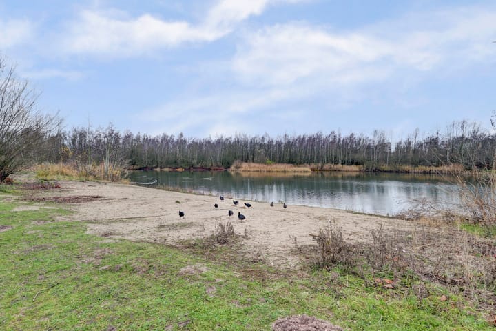 Photo 4 of Waterlelielaan 93