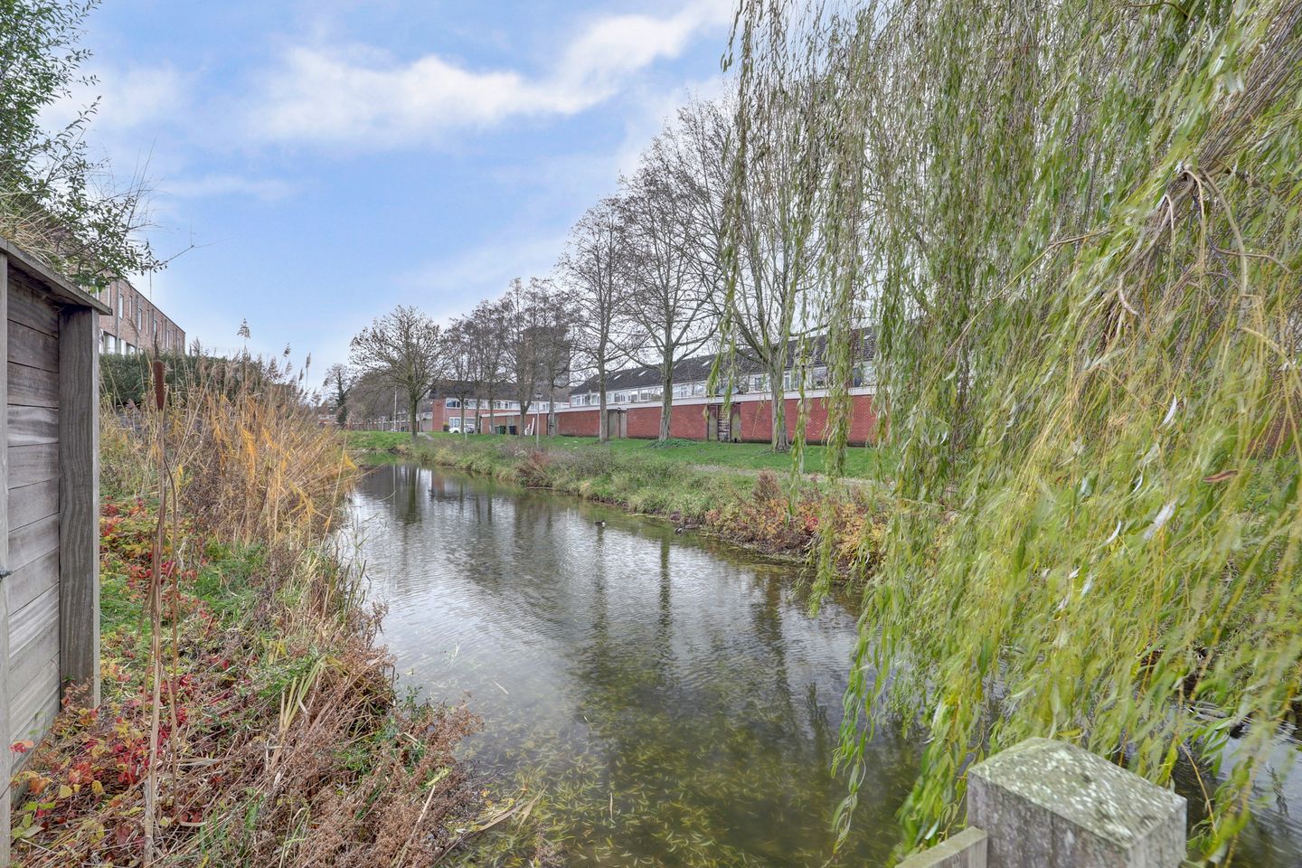 Foto 55 van Waterlelielaan 93