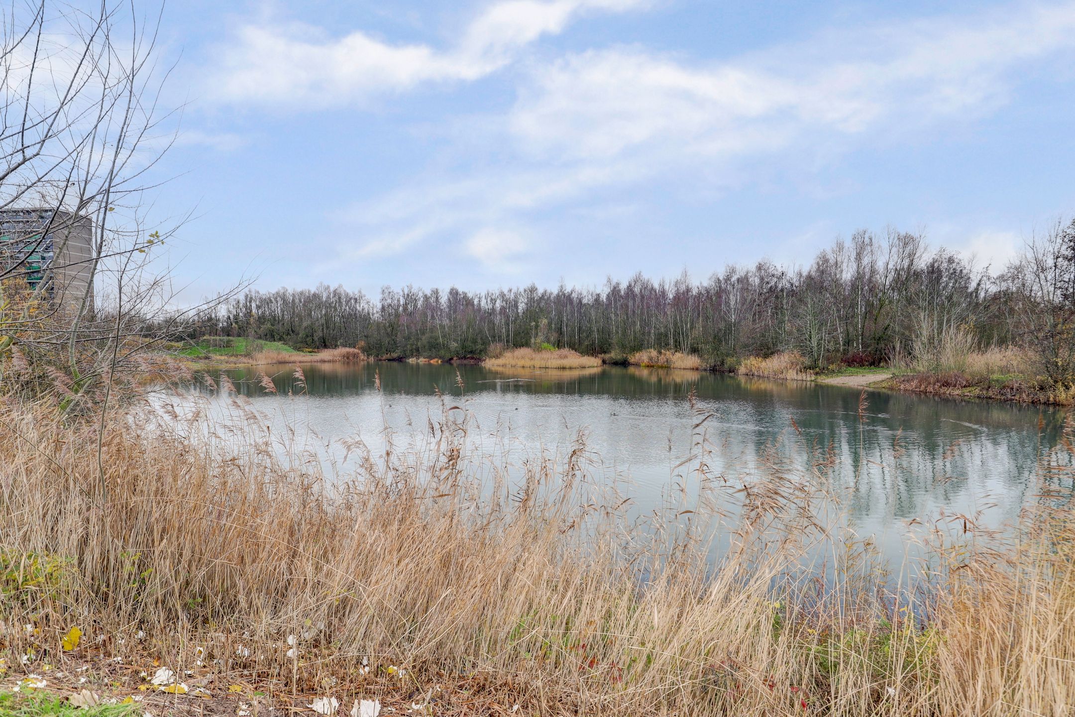 Foto 57 van Waterlelielaan 93