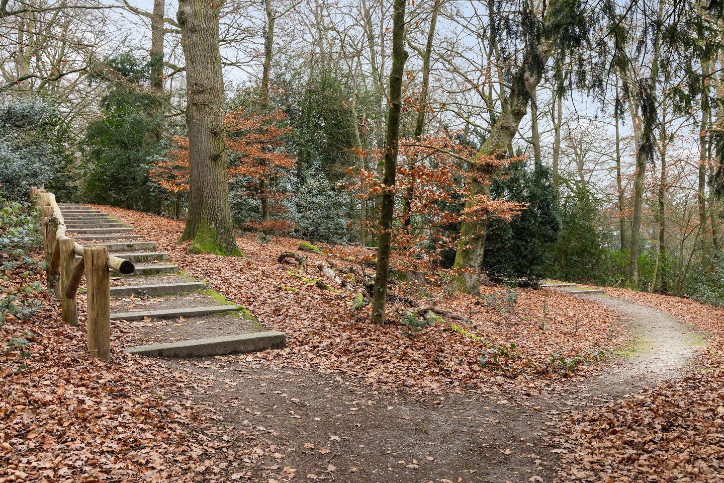 Foto 35 van Johannes Bosboomstraat 11