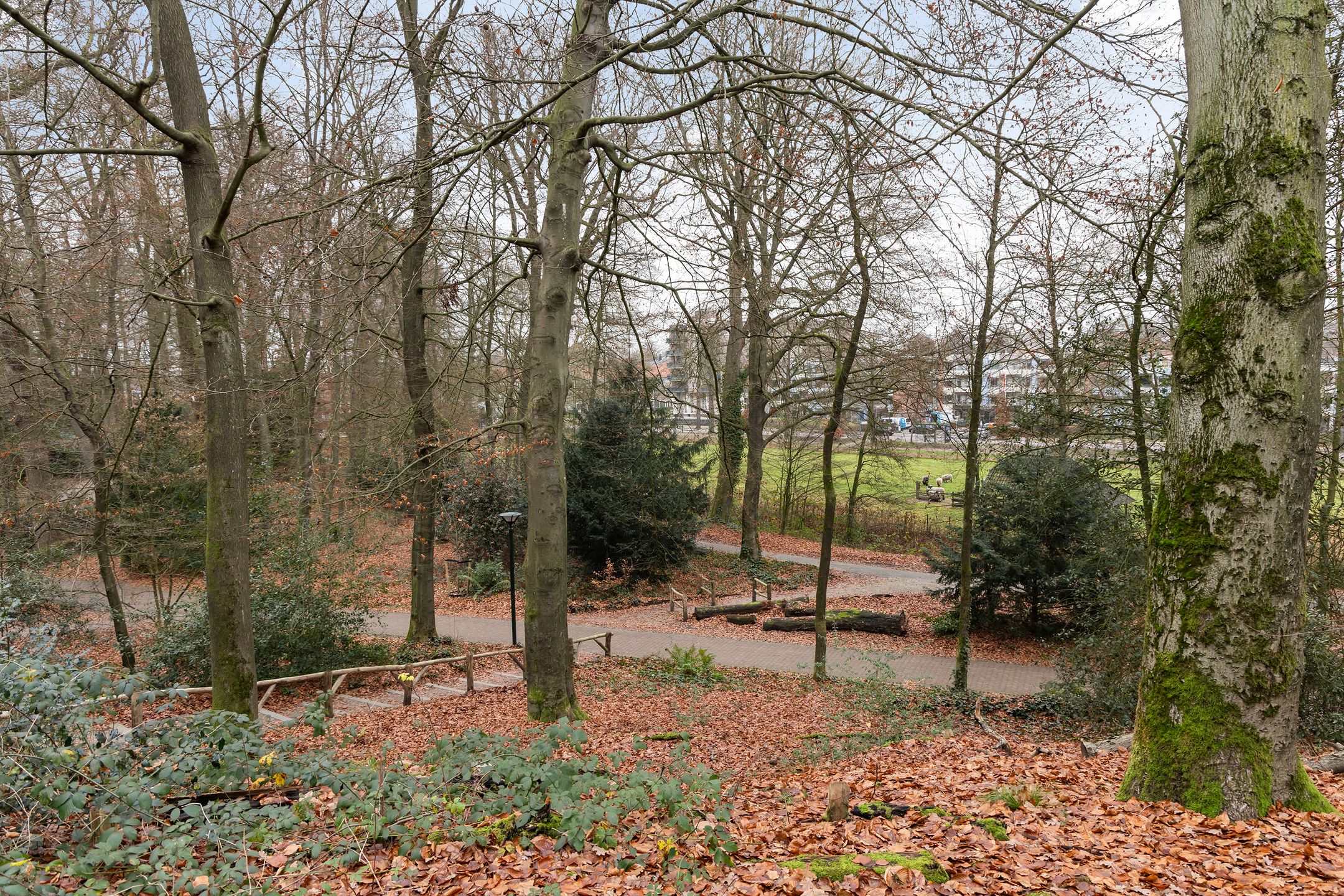 Foto 36 van Johannes Bosboomstraat 11