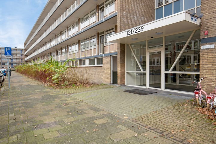 Foto 2 van Schalkeroord 163