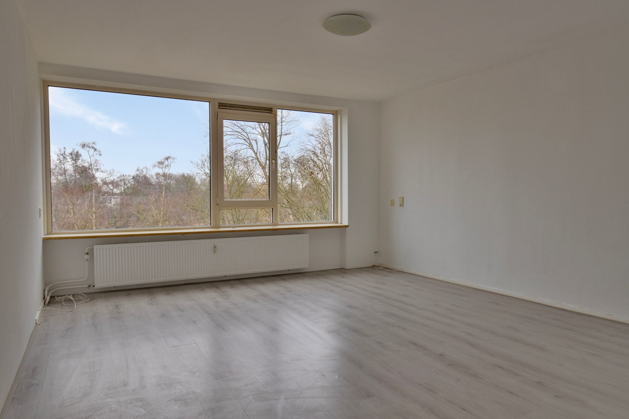 Photo 12 of Schalkeroord 163