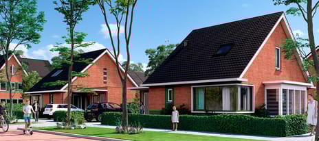 Blom fase 4 main image