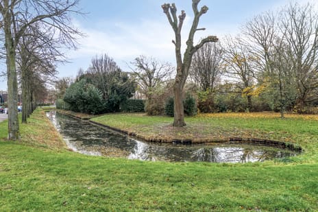 Singel 11 tertiary image