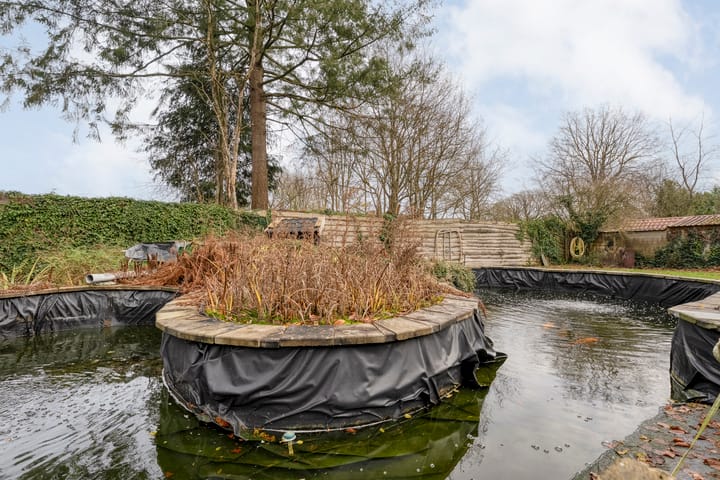 Photo 35 of De Haar 4-R8