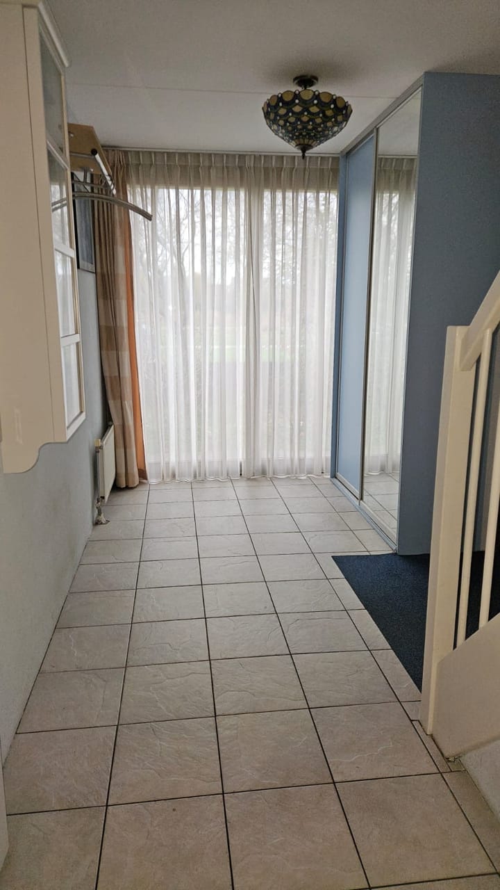 Photo 3 of Wollegras 11