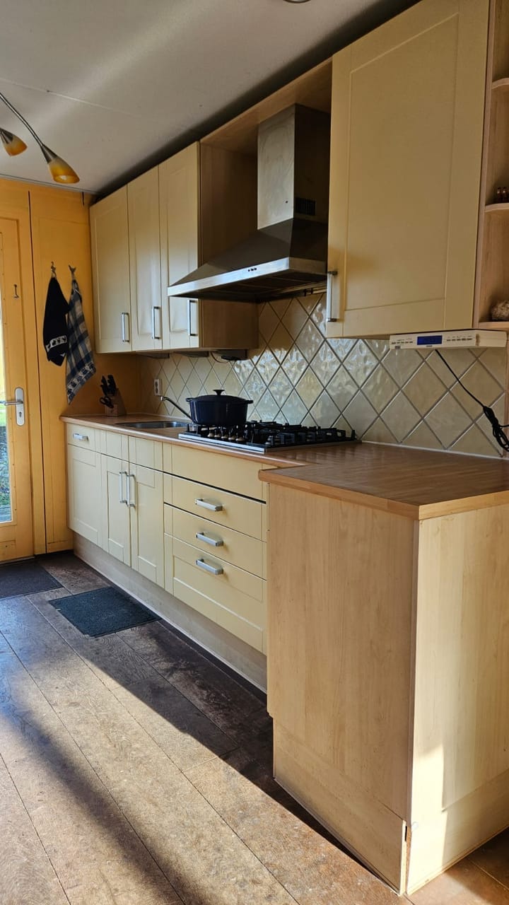 Photo 5 of Wollegras 11