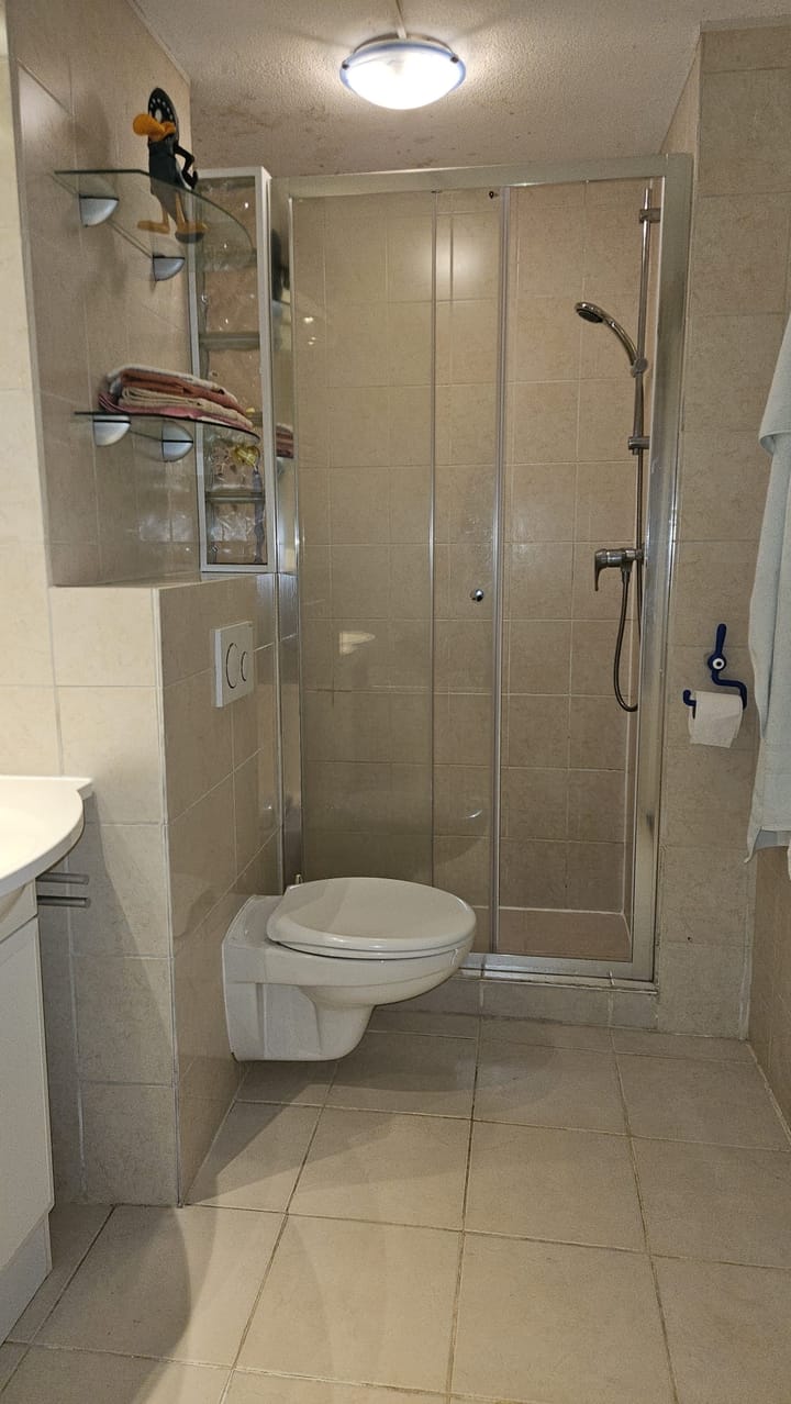 Foto 9 van Wollegras 11