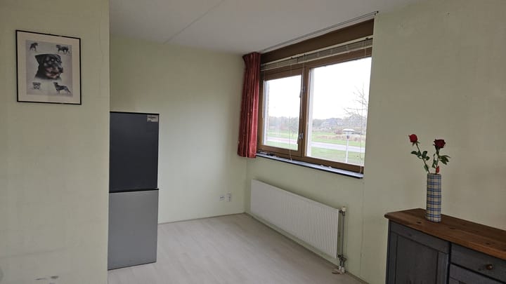 Foto 12 van Wollegras 11